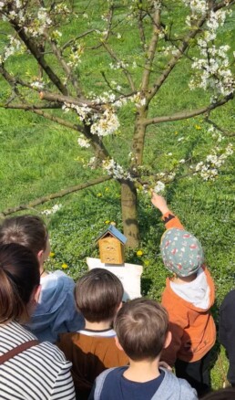bambini in mezzo ad un frutteto