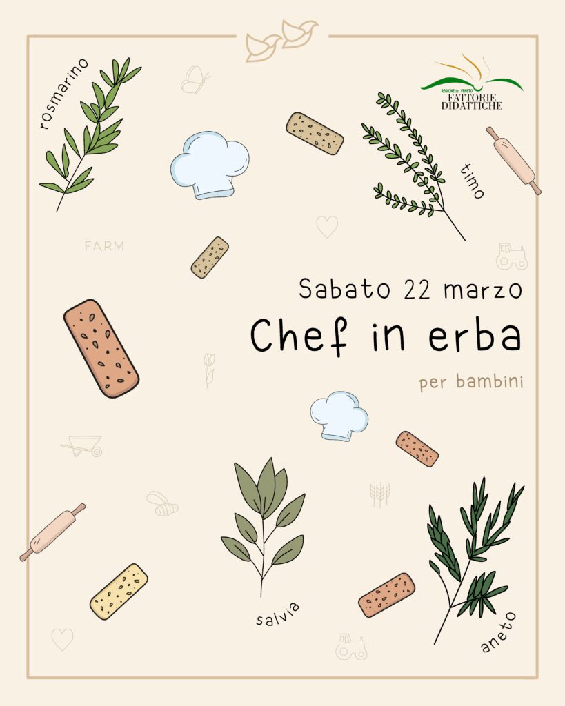 chef in erba
