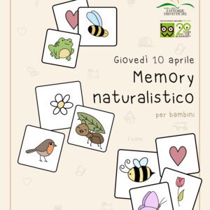 memory naturalistico