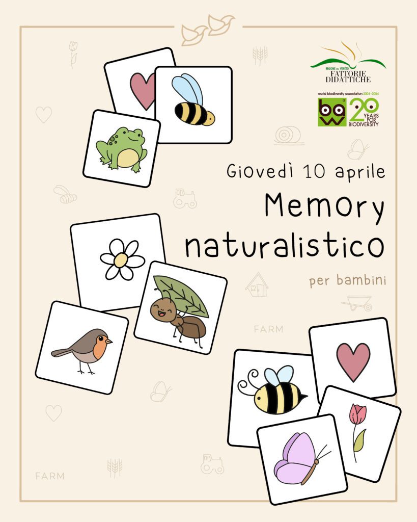 memory naturalistico