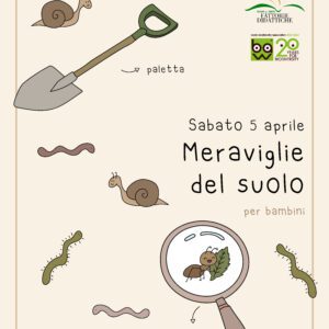 meraviglie del suolo