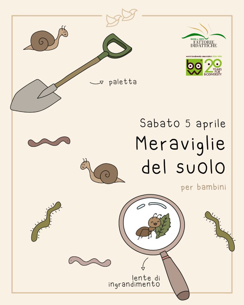 meraviglie del suolo
