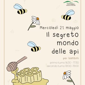 Il segreto mondo delle api 🐝🍯