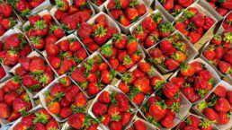 fragole
